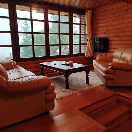 "Nest" The Wooden Suite By Ski Alure Eptalofos Exterior photo