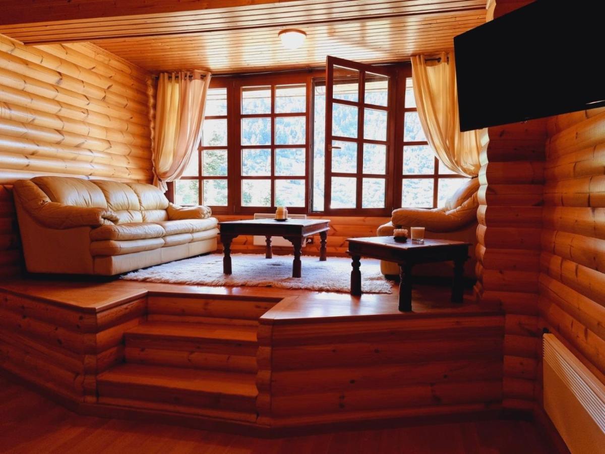 "Nest" The Wooden Suite By Ski Alure Eptalofos Exterior photo
